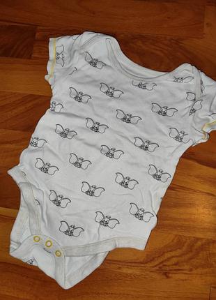 Боди десней