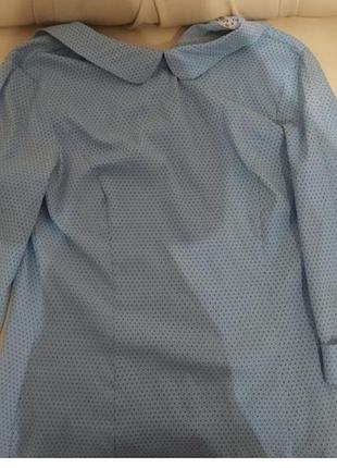 Ніжноголуба блуза в дрібний чорний горошрк