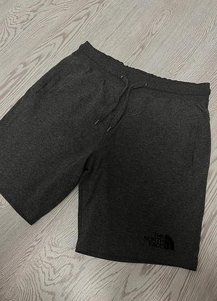Спортивні шорти tnf