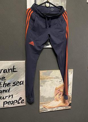 Спортивні штани