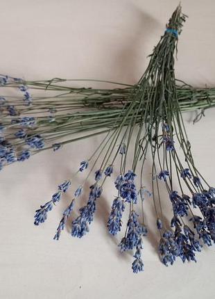 Букетики лаванди 2 шт
