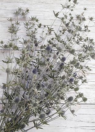 Сушеница синеголовника. 5-7 веточек