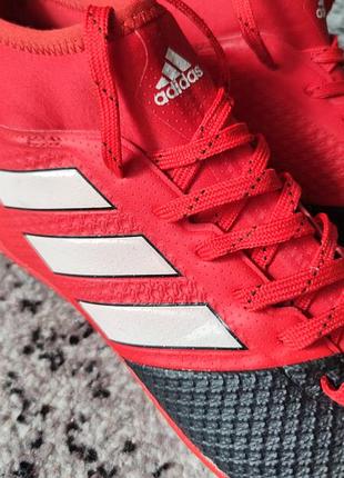 Фетзалки  burgundy adidas ace 17.3 primemesh in8 фото