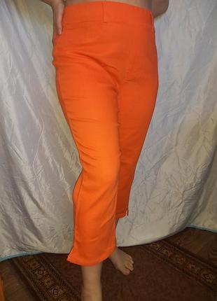 Бриджи большой размер