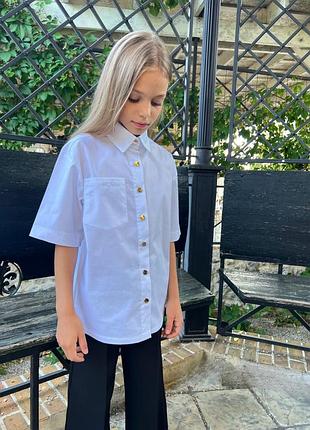Стильна шкільна сорочка блузка для дівчинки