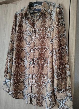 Блуза принт женская