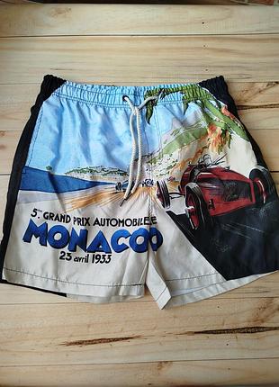 Купальні чоловічі шорти розмір l