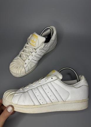 Кросівки adidas superstar
