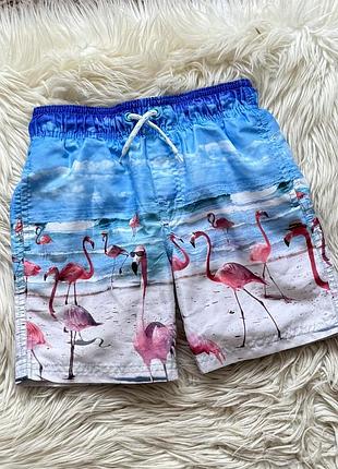 Шорти шорты