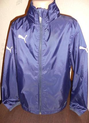 Ветровка * puma* подклад сеточка, 10 лет (140 см)