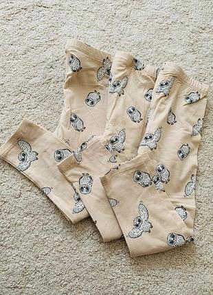 Лосінки принт гаррі поттер