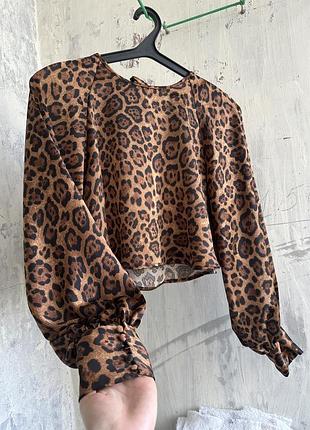 Блуза леопардова h&m