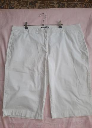 Шорти жіночі  великого розміру