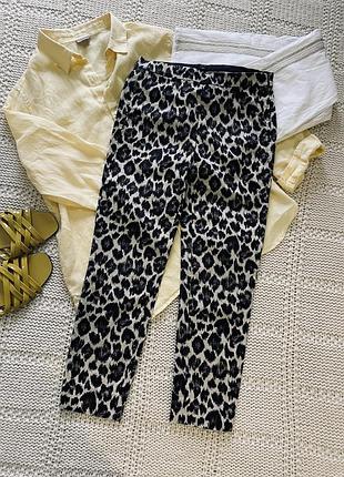 Штани стрейч