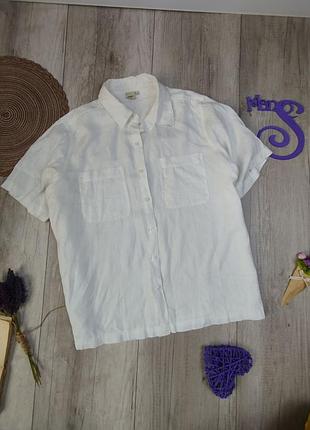 Женская блузка рубашка cotton traders с коротким рукавом белая размер 4xl