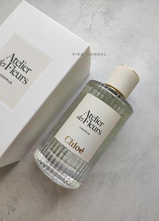 Chloe cedrus розпив