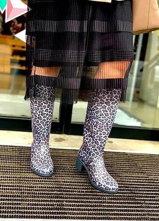 Жіночі гумові чоботи з каблучком, принт леопардовий