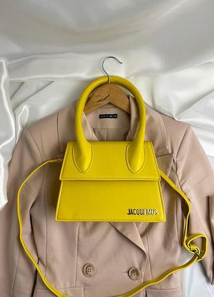 Жіноча сумка jacquemus, брендова сумка jacquemus жіноча, стильна сумка jacquemus для жінок, модна jacquemus сумочка жіноча