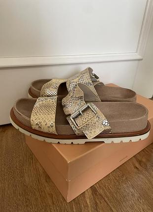 Сандалі шльопанці clarks