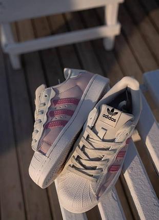 Кросівки adidas superstar cappuccino