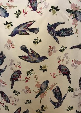 Блузка в наявності 20.