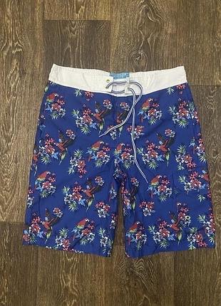 Чоловічі плавки шорти cedarwood state