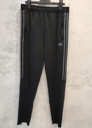Штани жіночі спортивні adidas, s, штани жіночі чорні