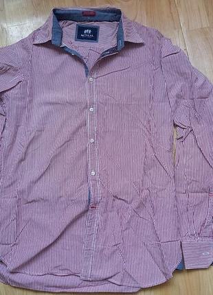 Рубашка мужская mc neal