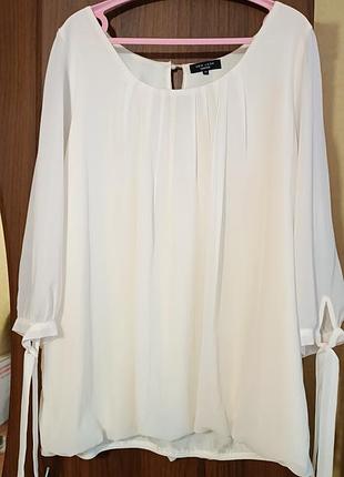 Блуза великого розміру