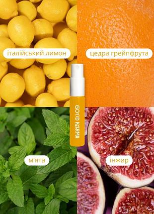 Пробники парфуми 13 perfumes west village soft spoken hamptons summer skinny dipping good karma7 фото