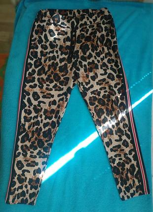Брюки новые леопардовые размер l(12) имталия