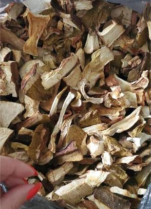 Закарпатские белые сухие грибы