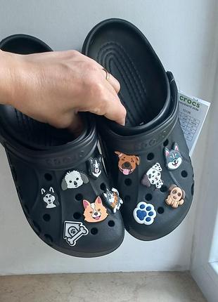 Jibbitz/джибитсы/джибітси на crocs (кроксы /крокси)