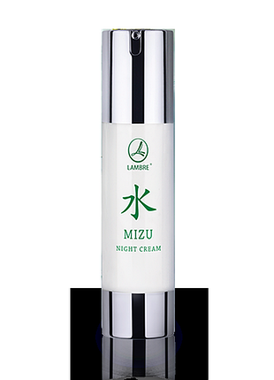 Ночной увлажняющий крем mizu night cream 50 мл lambre