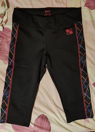 Бриджи спортивные crivit 50-52 р- р