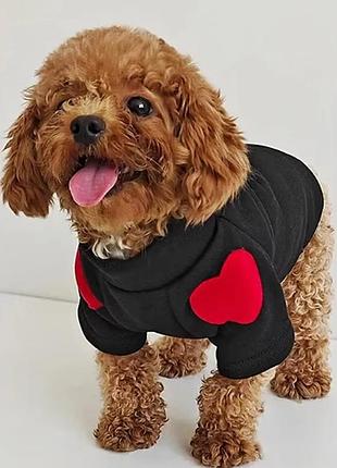 Зимняя одежда для собак s, теплый свитер с сердцами для домашнего питомца, кофта для осени и зимы, размер s