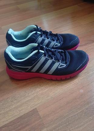 Кросівки adidas.