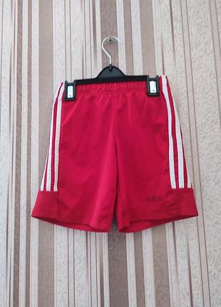 Спортивні шорти