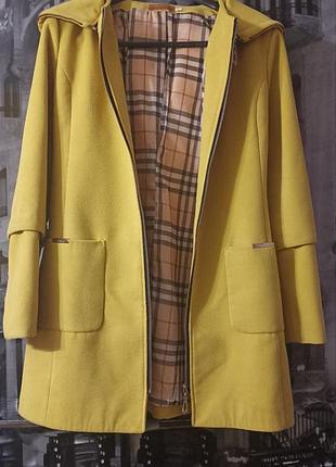 Одежа женская (пальто), весна/осень