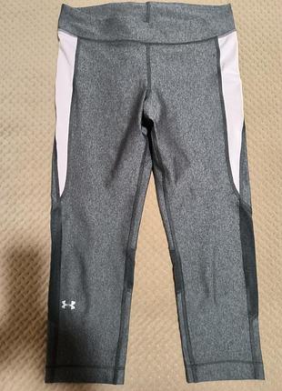 Лосины бриджи