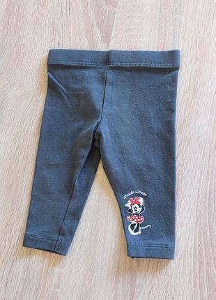 Лосины минни маус