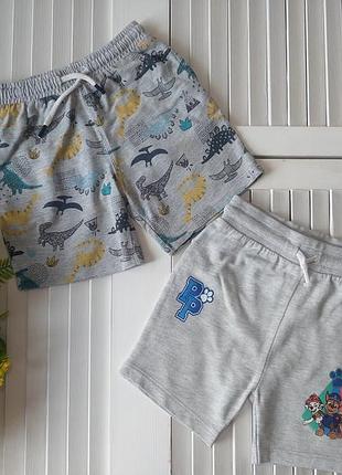 Шорты серые принт динозавры собачий патруль на мальчика