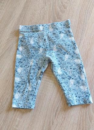 Лосины 3/6мес