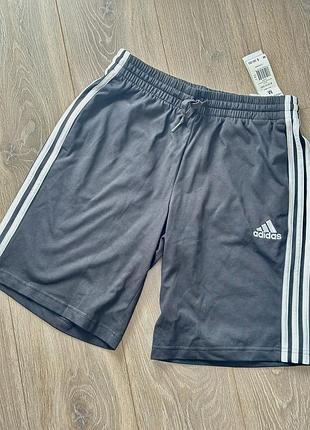 Шорти adidas розмір м