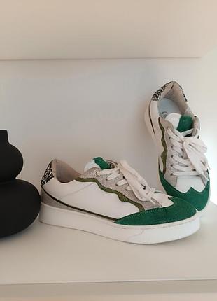 Кроссовки итальянского бренда соncept