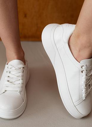 Кеди жіночі шкіряні 588277 білі