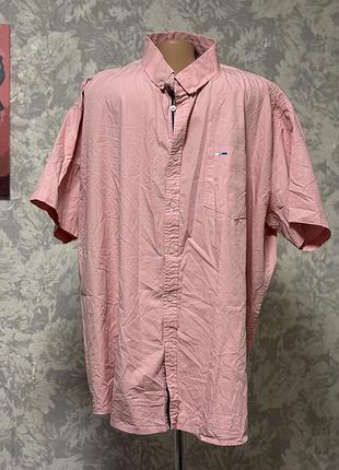 Сорочка чоловіча великого розміру рожева