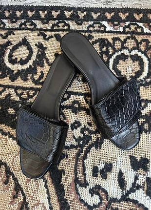 Шкіряні сланці