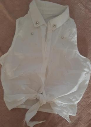 Літні блузи,р.s.m