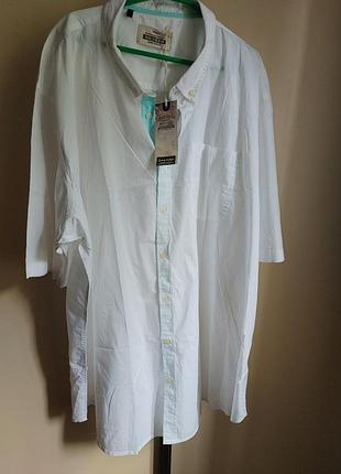 Рубашка с коротким рукавом authentic, 4xl